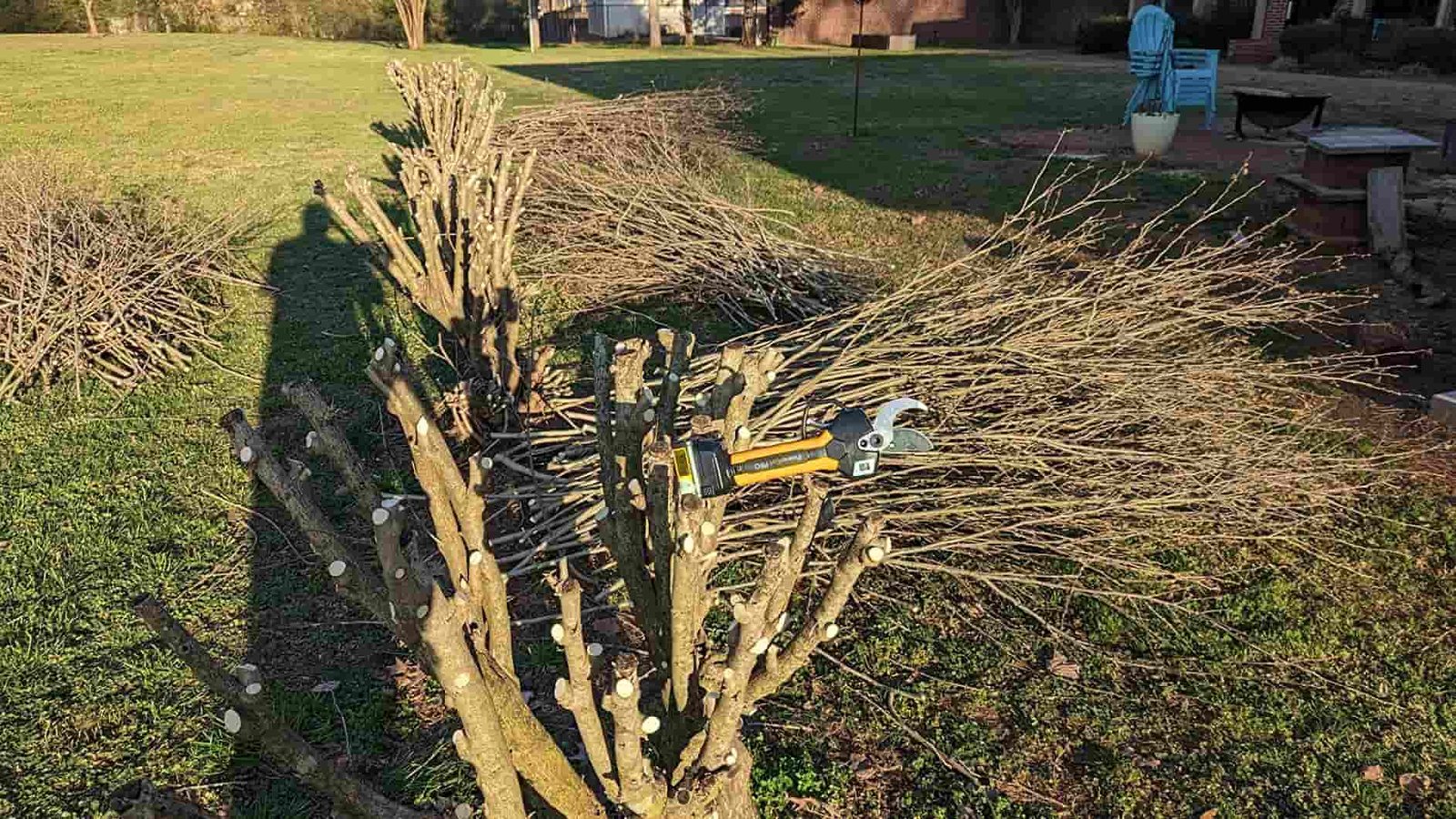 Recensione cliente PowerCut Pro