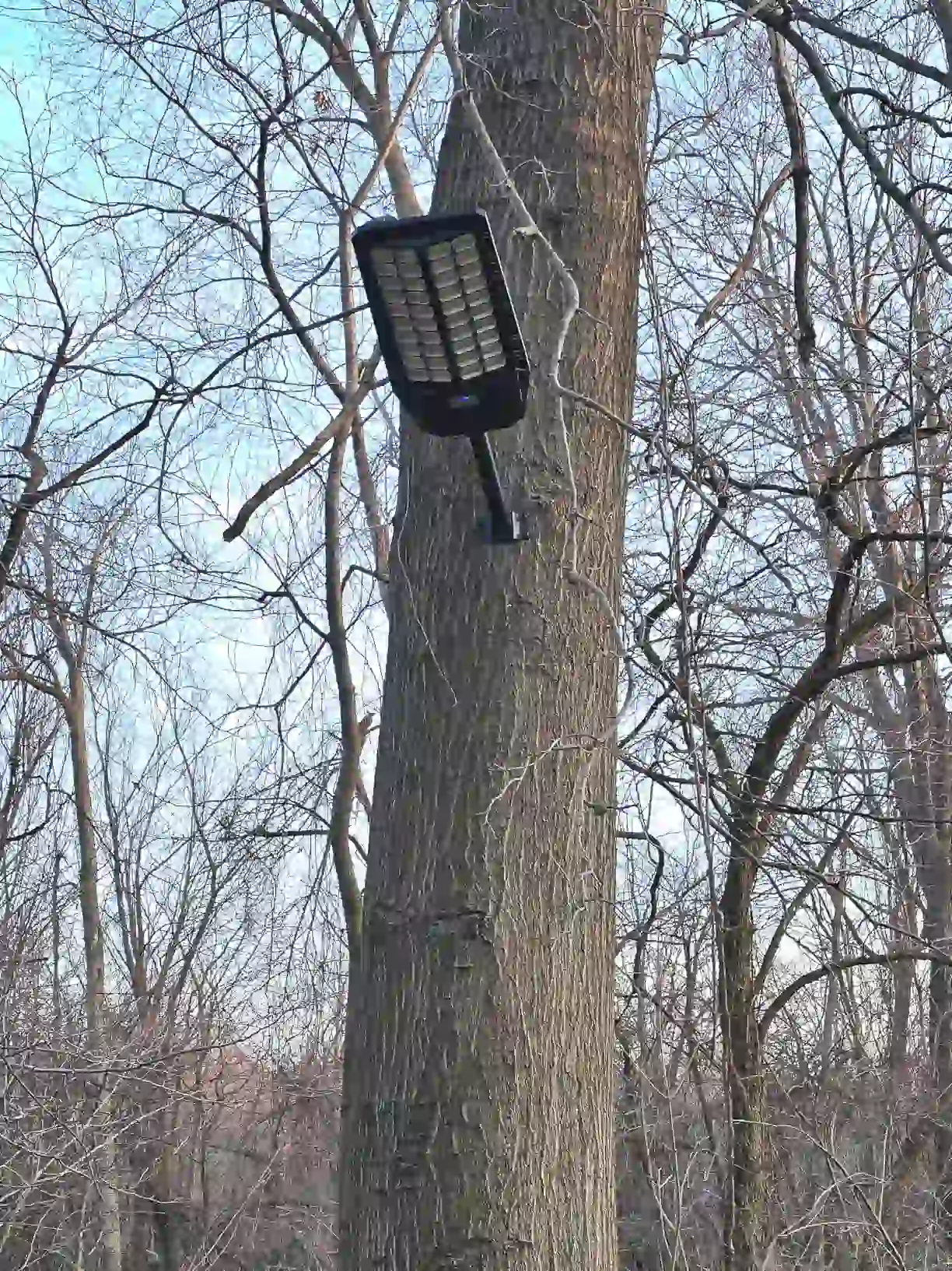 Recensione cliente SolarBright